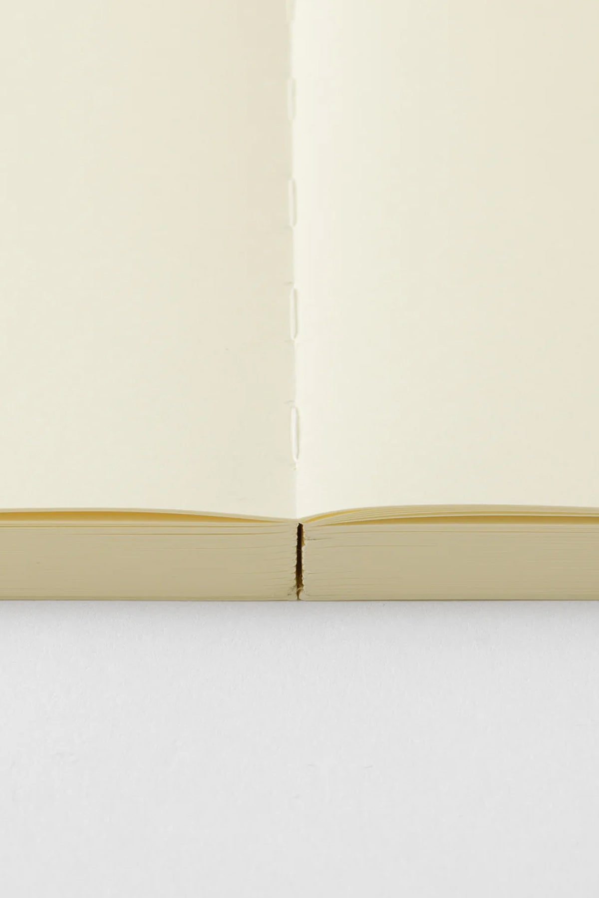 MD Notebook Journal A5 Page-A-Day Codex