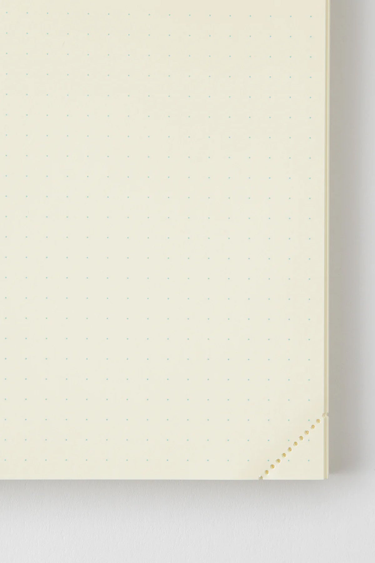 MD Notebook Journal A5 Page-A-Day Codex